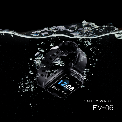 EV06-webs (4)