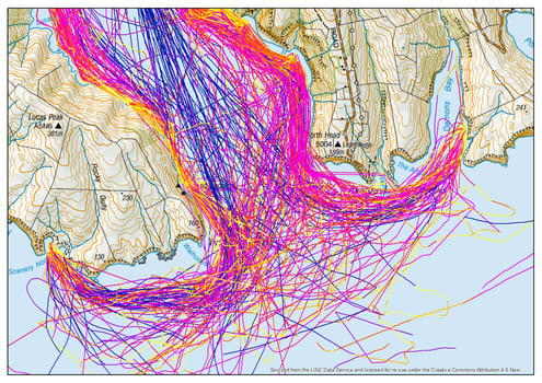 Heads_Topo_lines_speed