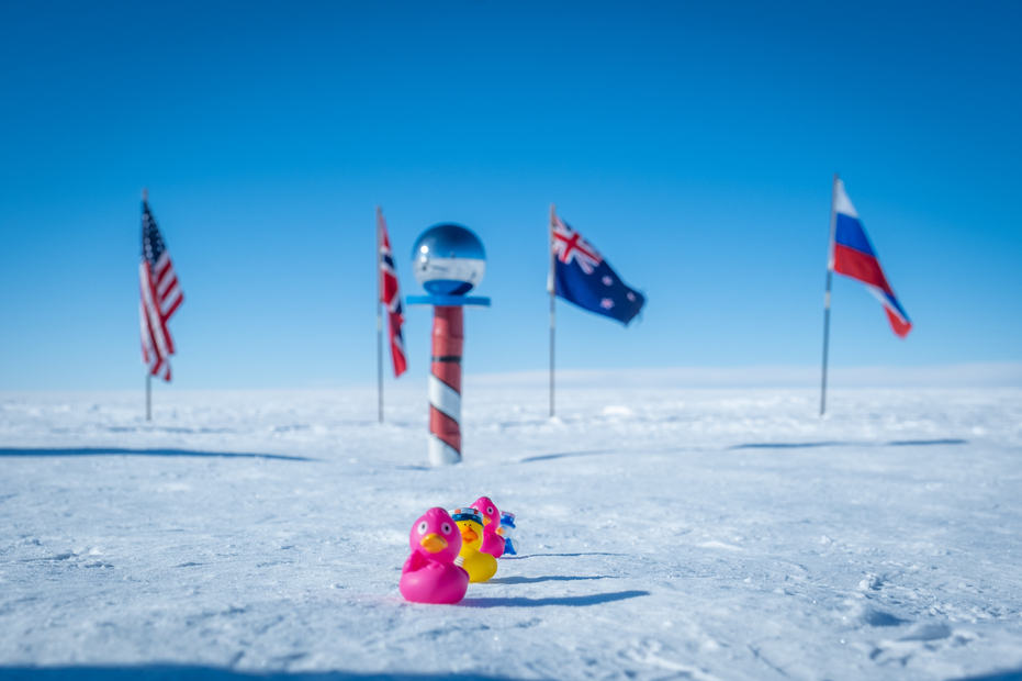 IEE_SP_Marthe Brendefur_489