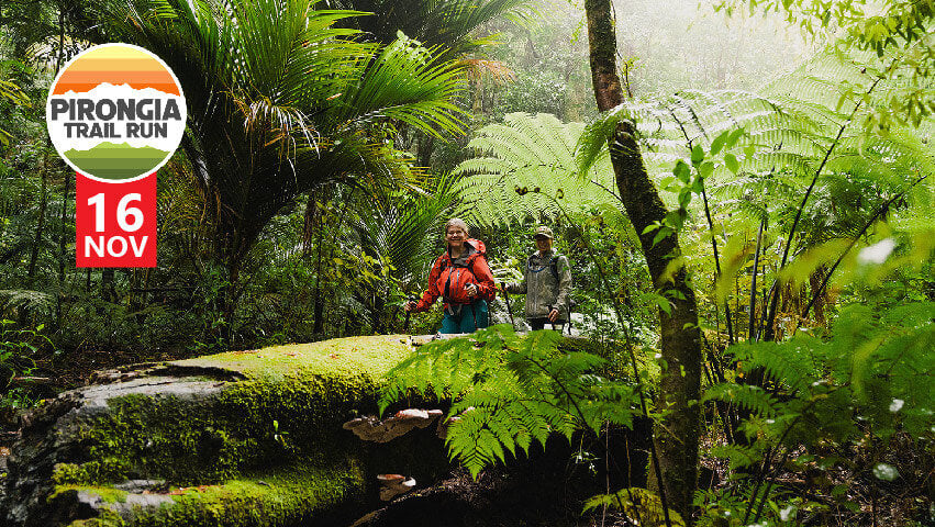 Pirongia Trail Run 2024